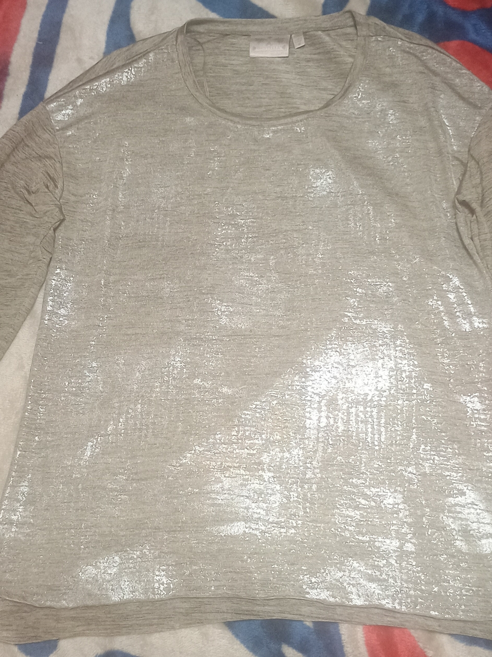 Dantelle Silver-Tone Shimmer Women's Long-Sleeve Top